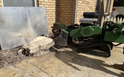 Stump Removal Techniques for a Cleaner Garden