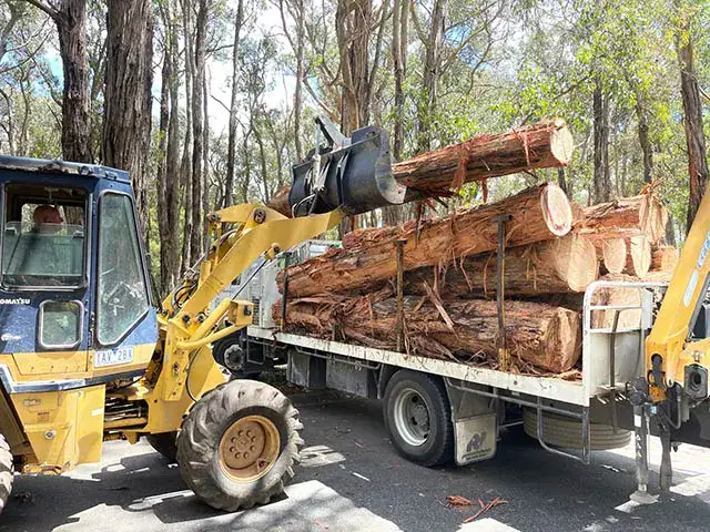 Hedge trimming services Mornington Peninsula