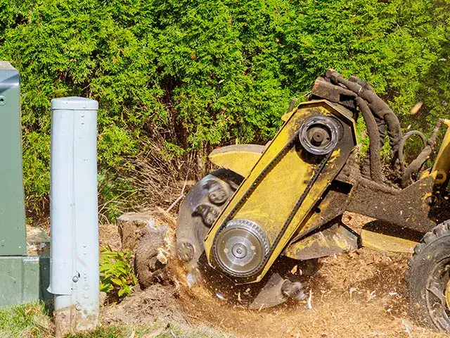 Stump grinding Mornington Peninsula
