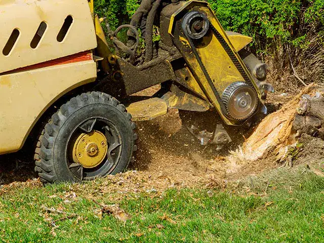 Stump removal near Mornington Peninsula