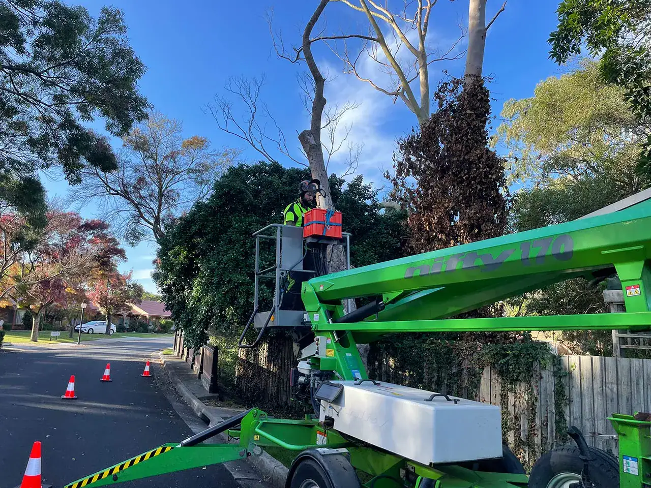 Local tree removal in Mornington Peninsula