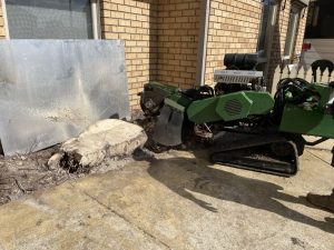 Stump removal techniques